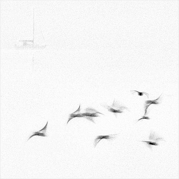 I Boat and 9 Birds.jpg